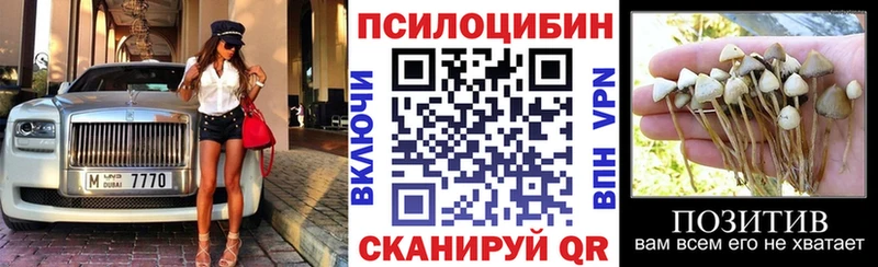 Галлюциногенные грибы Psilocybine cubensis Липки